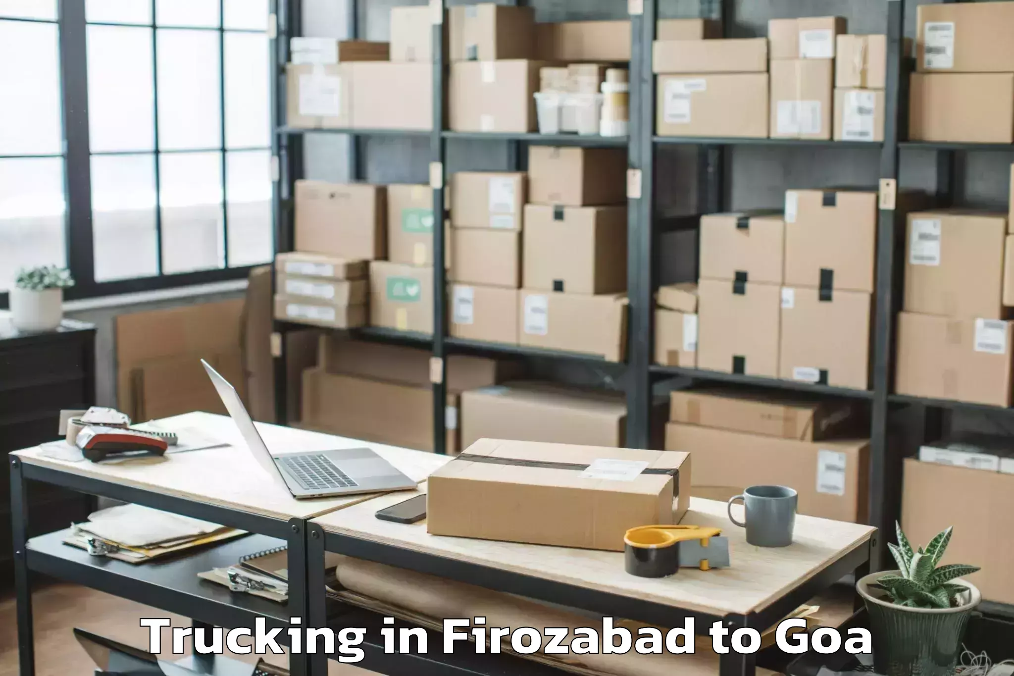 Quality Firozabad to Mopa Trucking